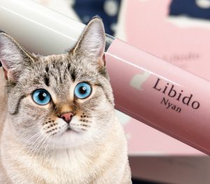 【猫ナンパ】噂の香水「リビドーニャン」を使ったらニャン友ができた♡【効果検証】